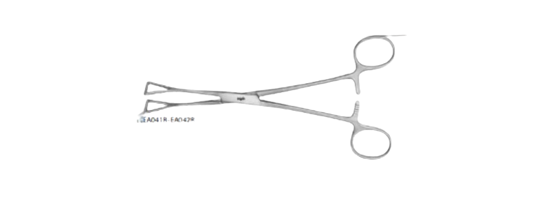 Duval- Collin Intestinal Forceps | EA041R
