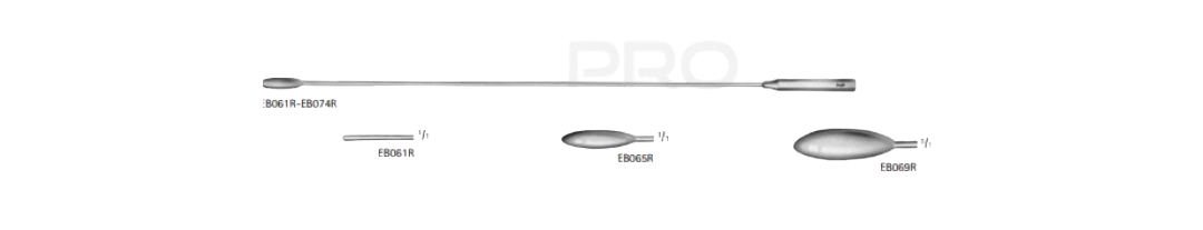 GENERAL SURGERY Probes, Dilators and Scoops